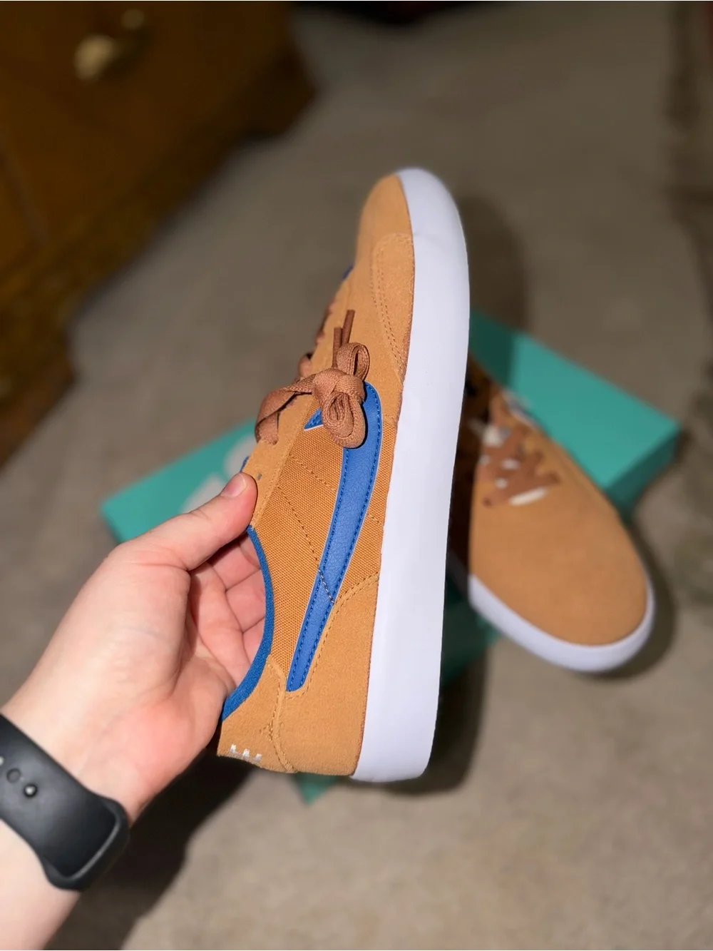 Nike Brown and Blue Low-Top Skate Sneakers